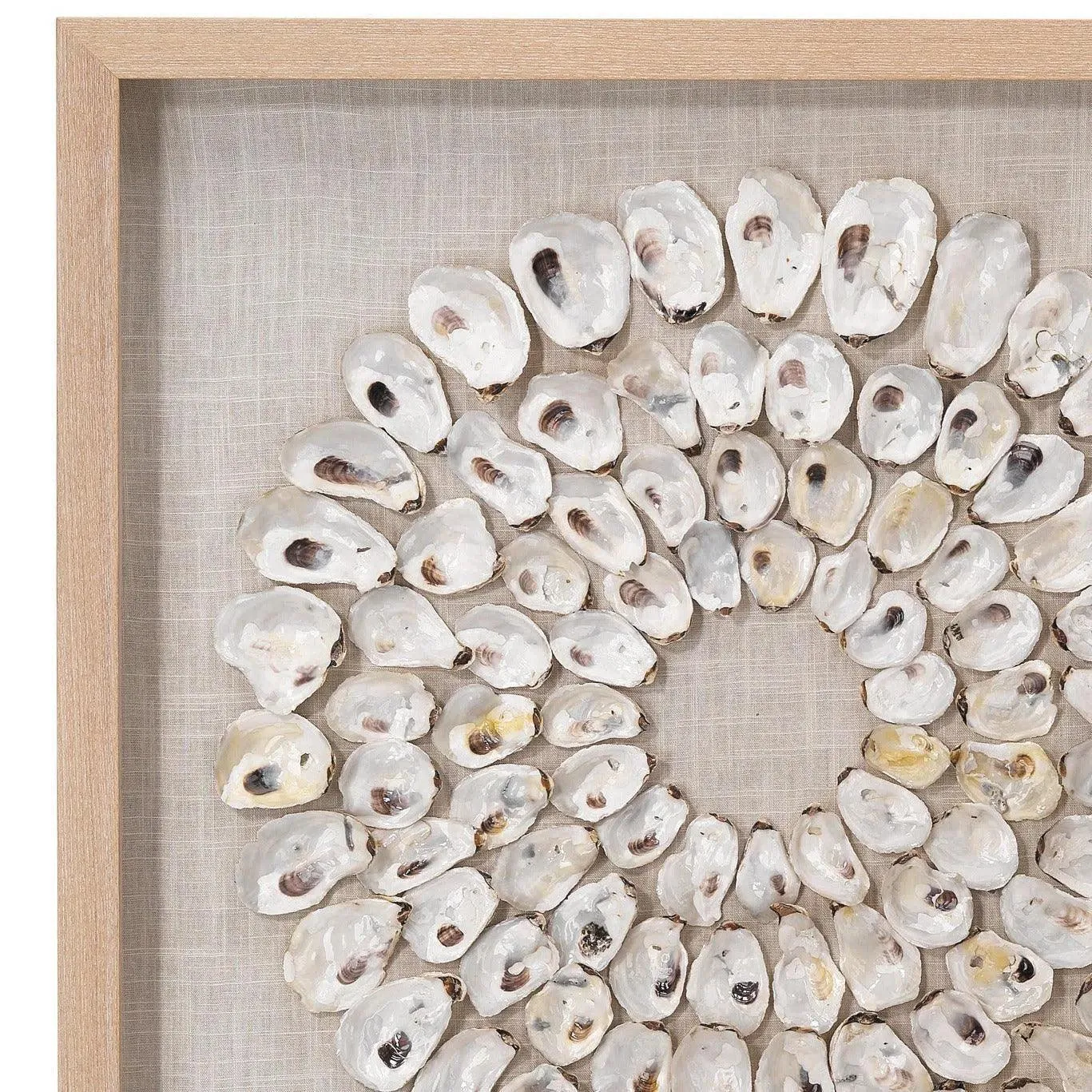 Coastal Style White Abalone Shells Maldives Framed Wall Art